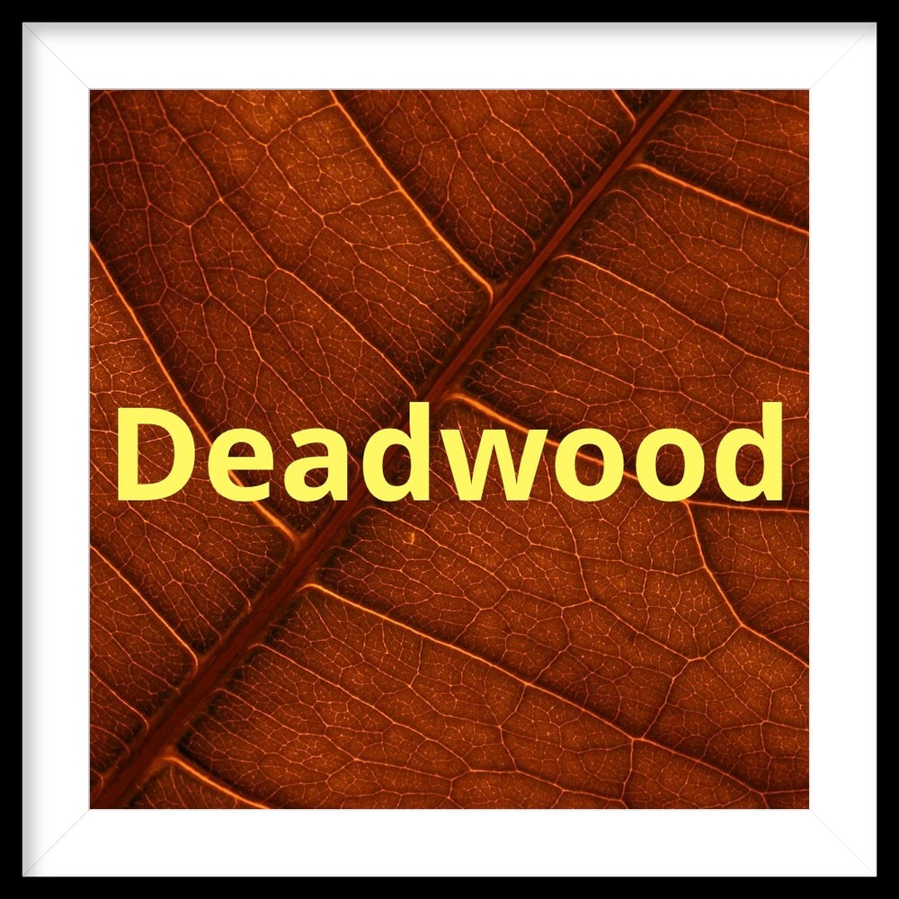 DEADWOOD