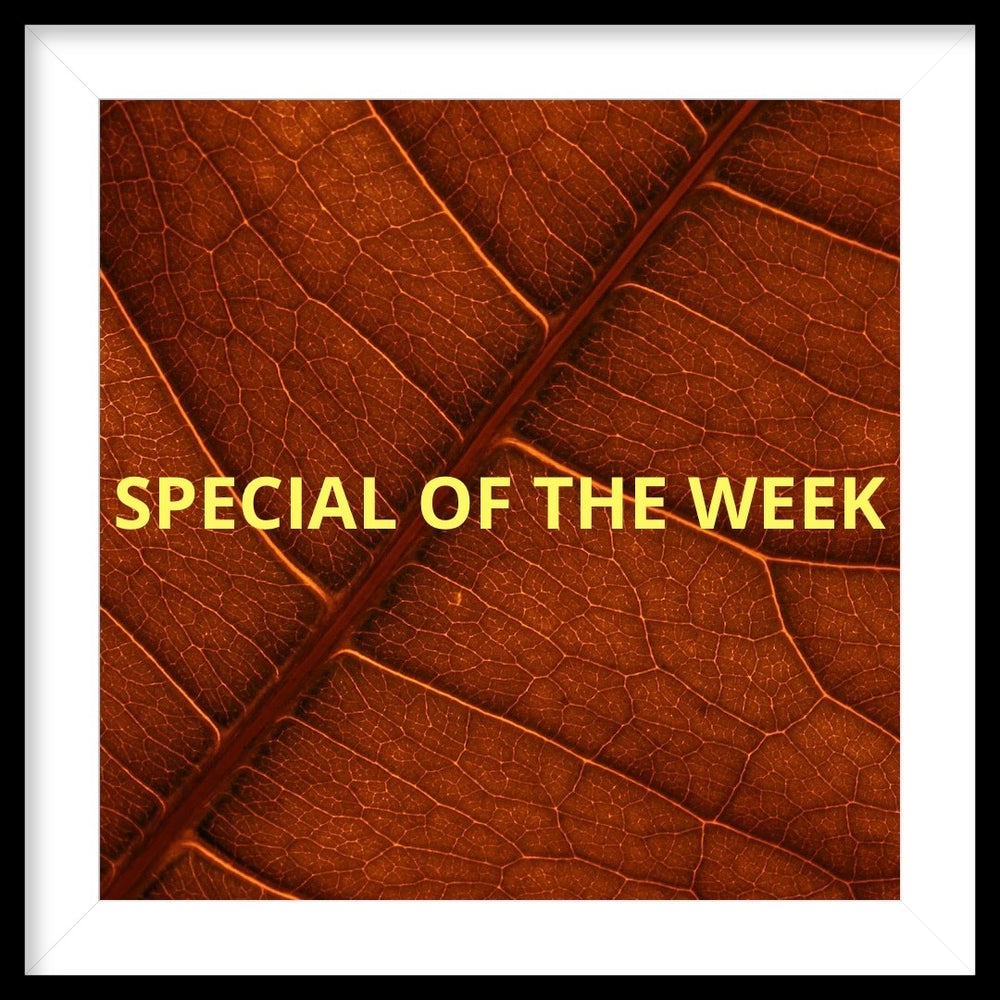 SPECIAL OF THE WEEK