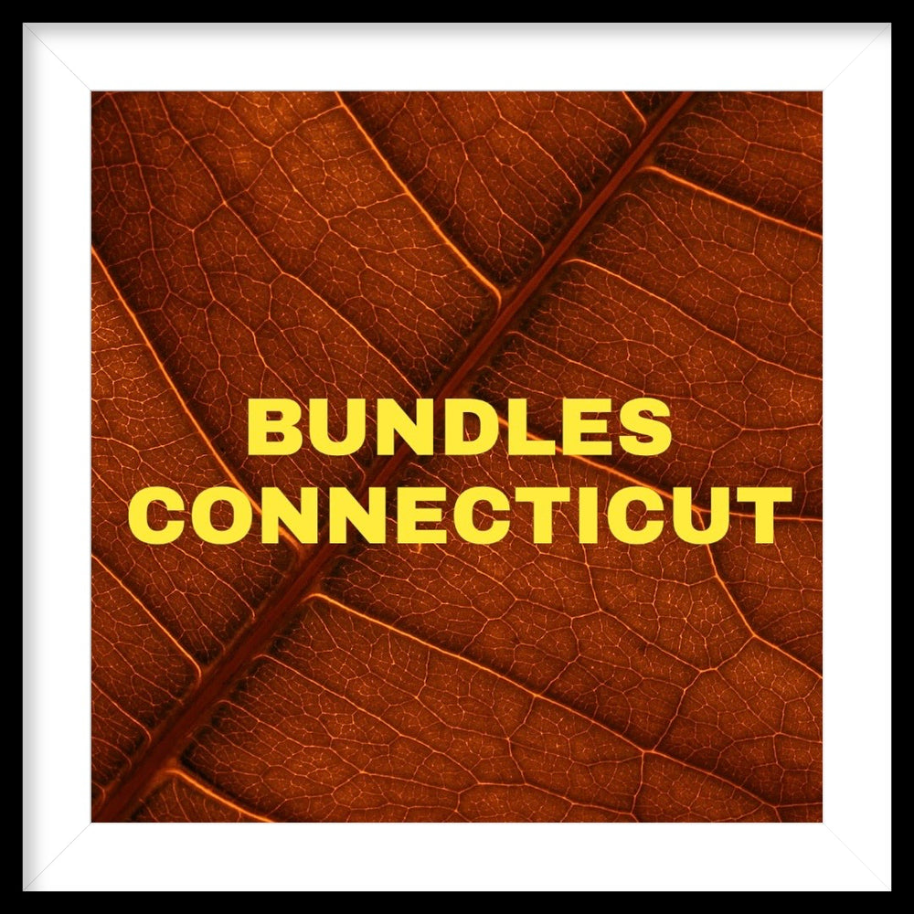 BUNDLES CONNECTICUT