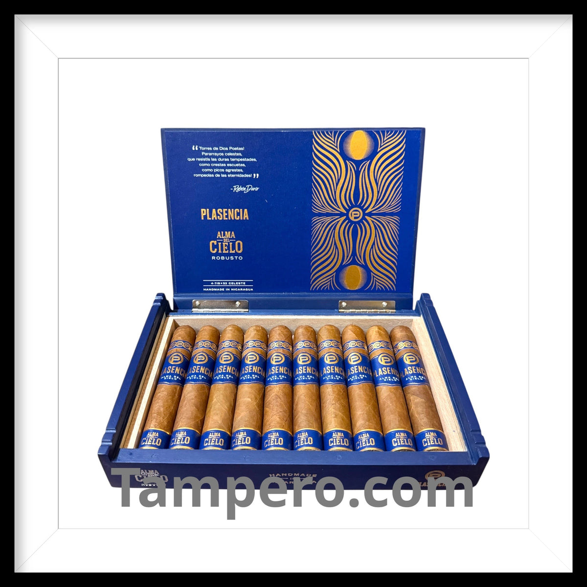 Plasencia Alma del Cielo Celeste Robusto