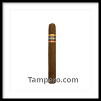 Load image into Gallery viewer, Sarzedas Corona cigars in humidor Tampero Cigars premium lounge Ybor City Tampa
