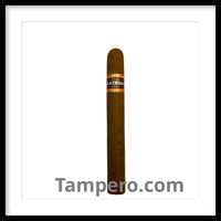 Load image into Gallery viewer, Sarzedas Toro cigars in humidor Tampero Cigars premium cigar lounge Ybor City Tampa

