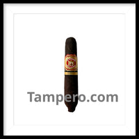 Load image into Gallery viewer, Arturo Fuente Hemingway Best Seller Maduro -Limited Release-
