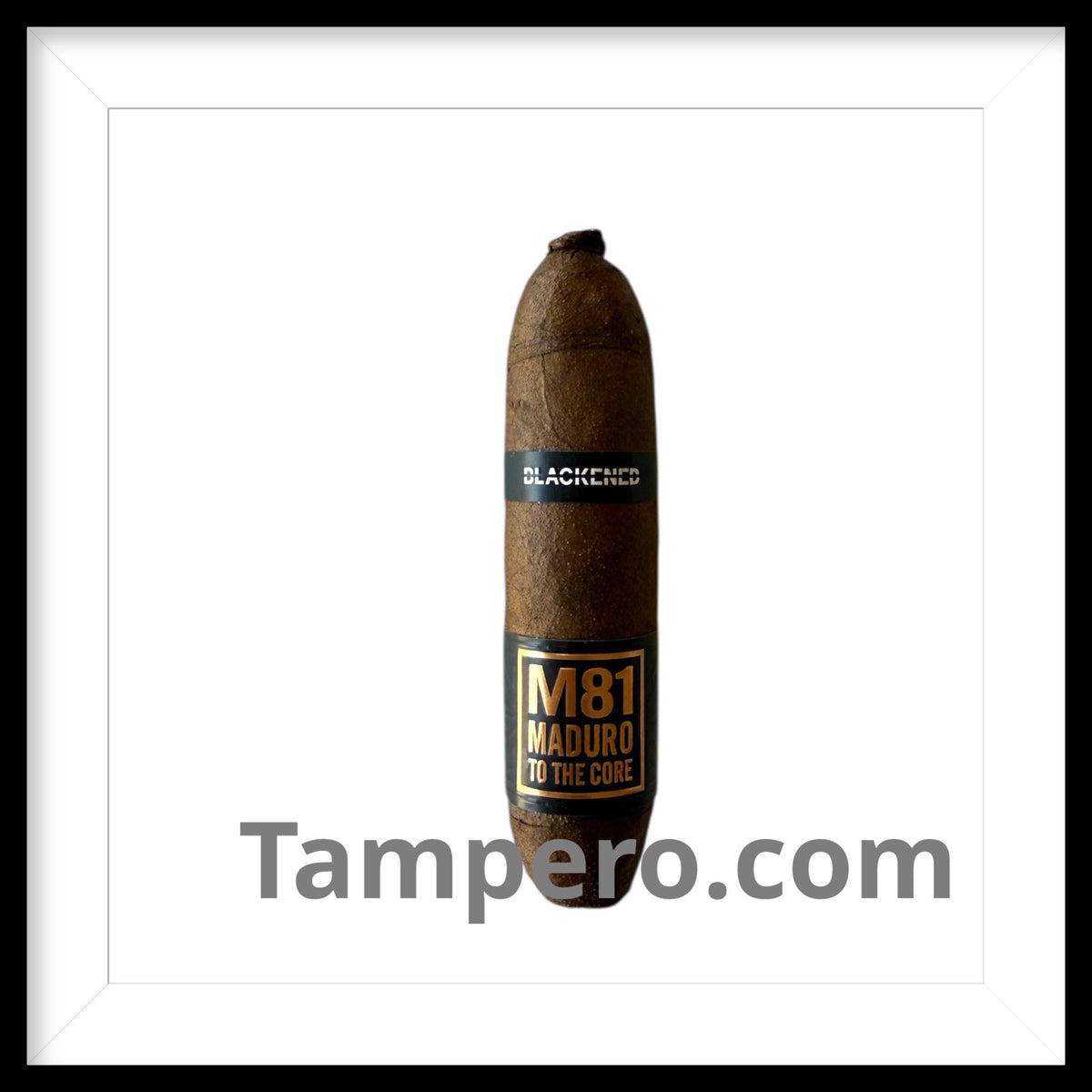 Blackened M81 Flying Pig