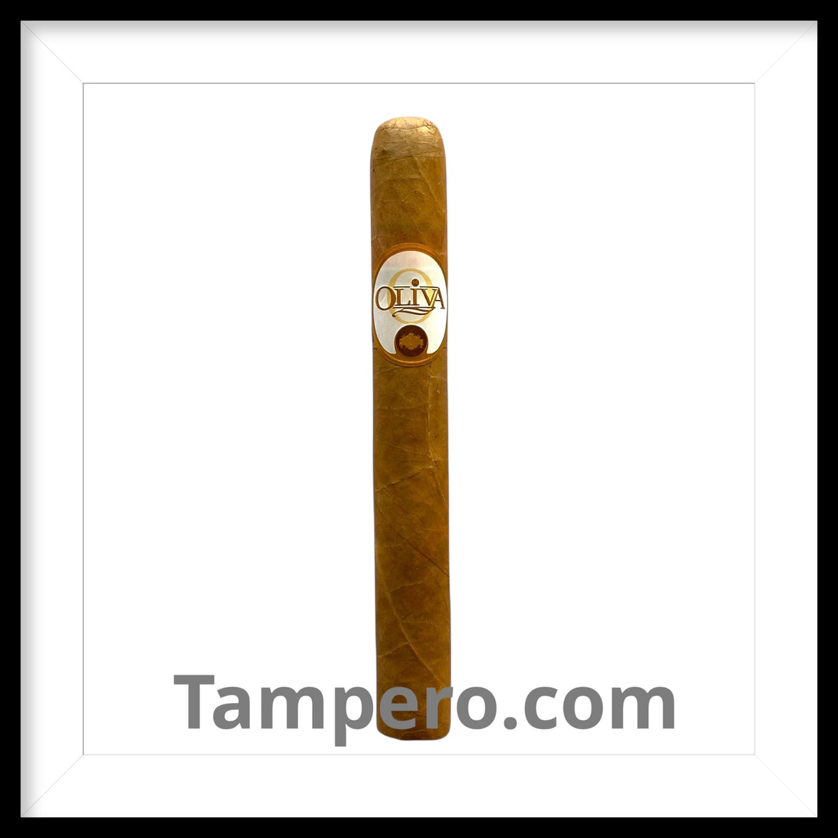 Oliva Connecticut Reserve Churchill
