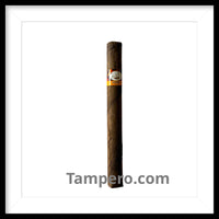 Load image into Gallery viewer, Tatiana Honey Classic
