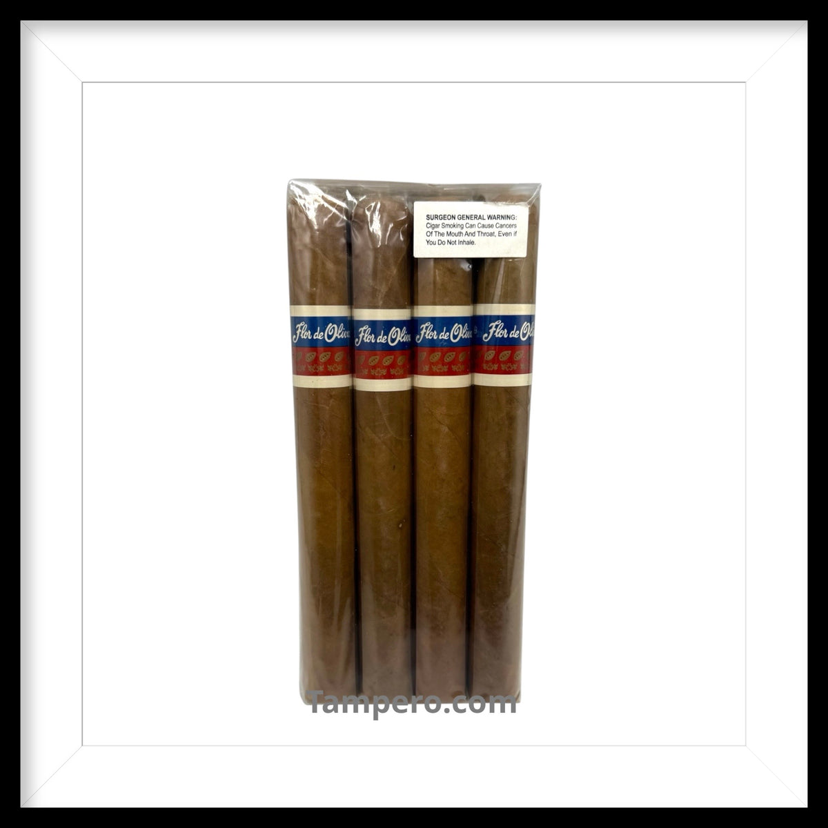 Oliva Flor de Oliva Giants 860