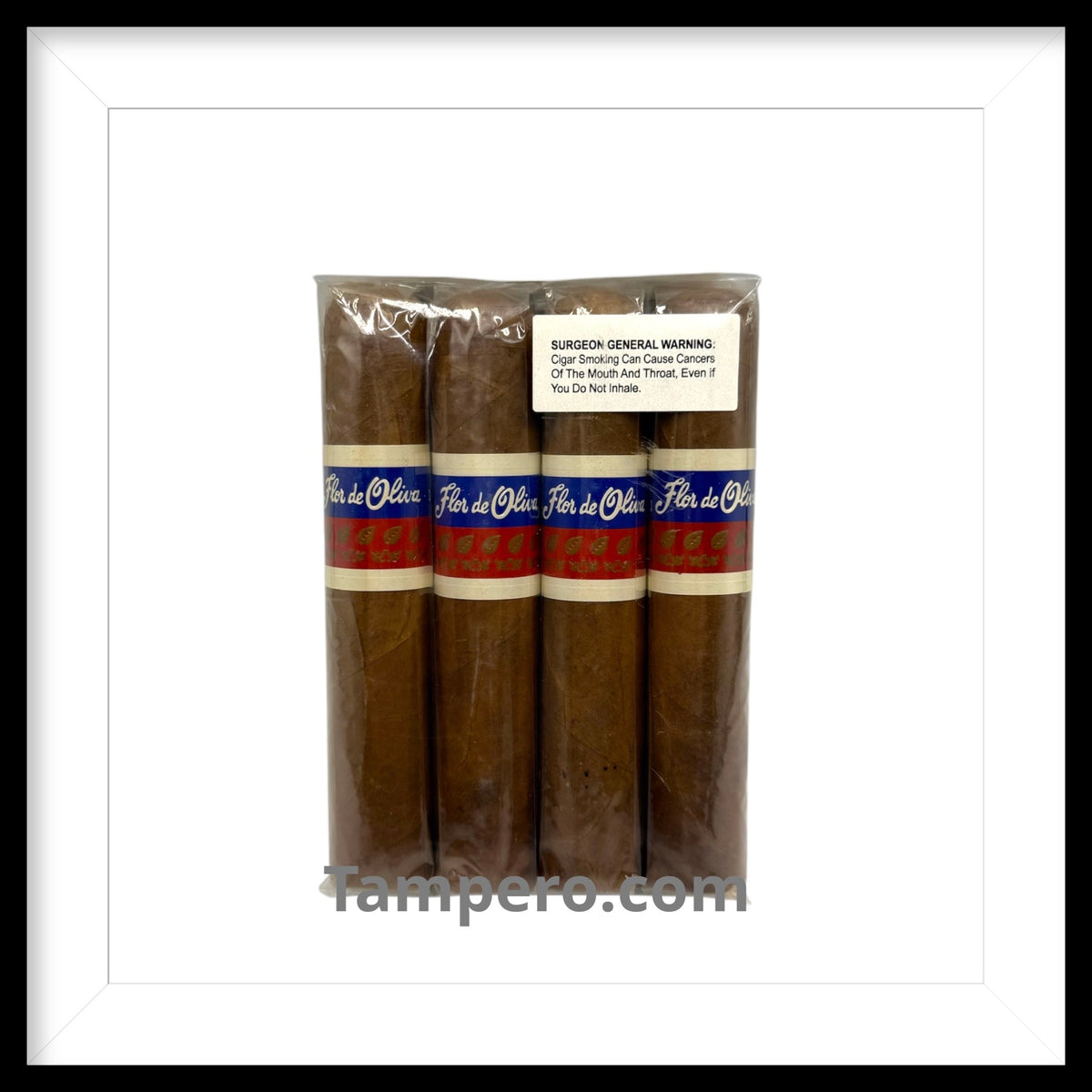 Oliva Flor de Oliva Giants 560