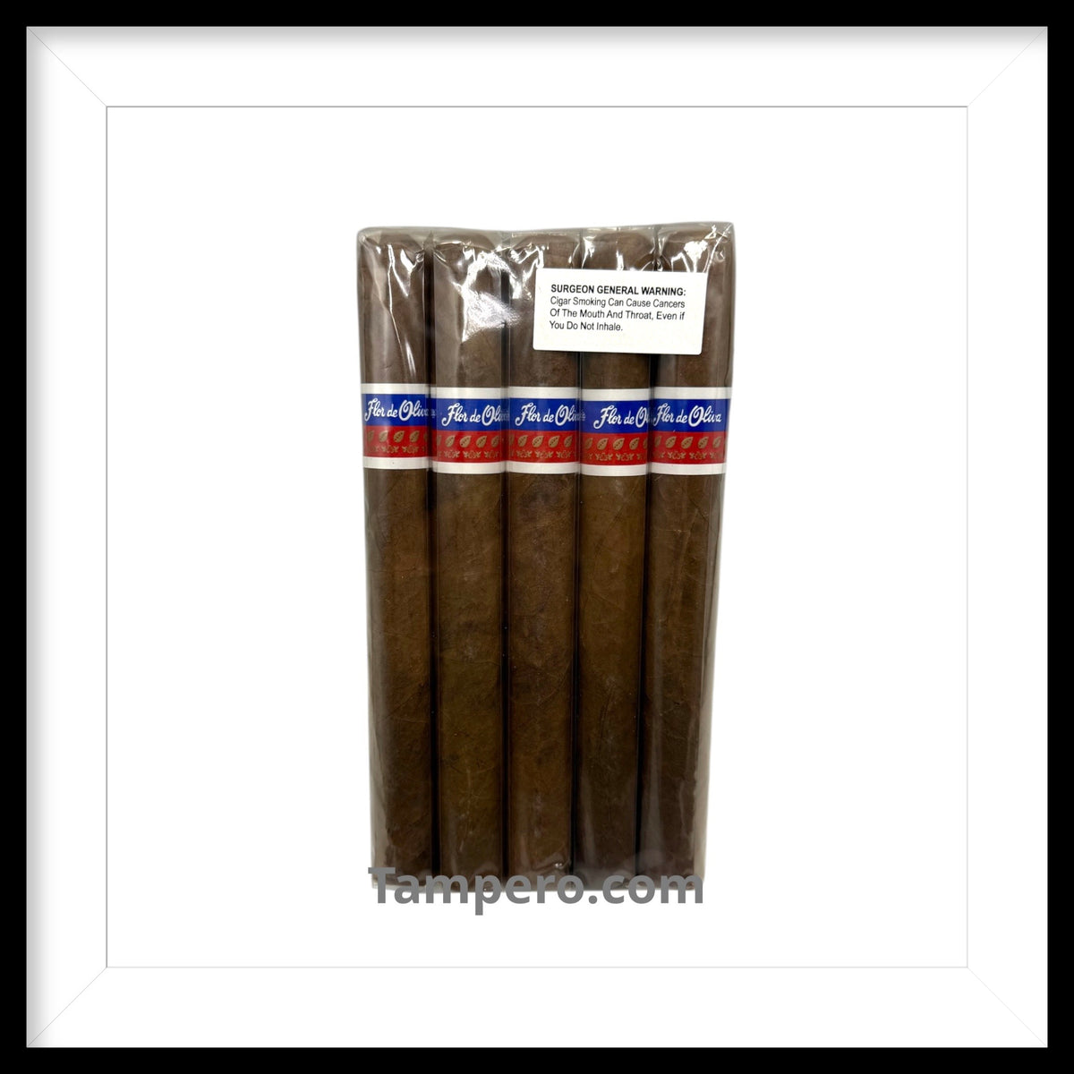 Oliva Flor de Oliva Churchill