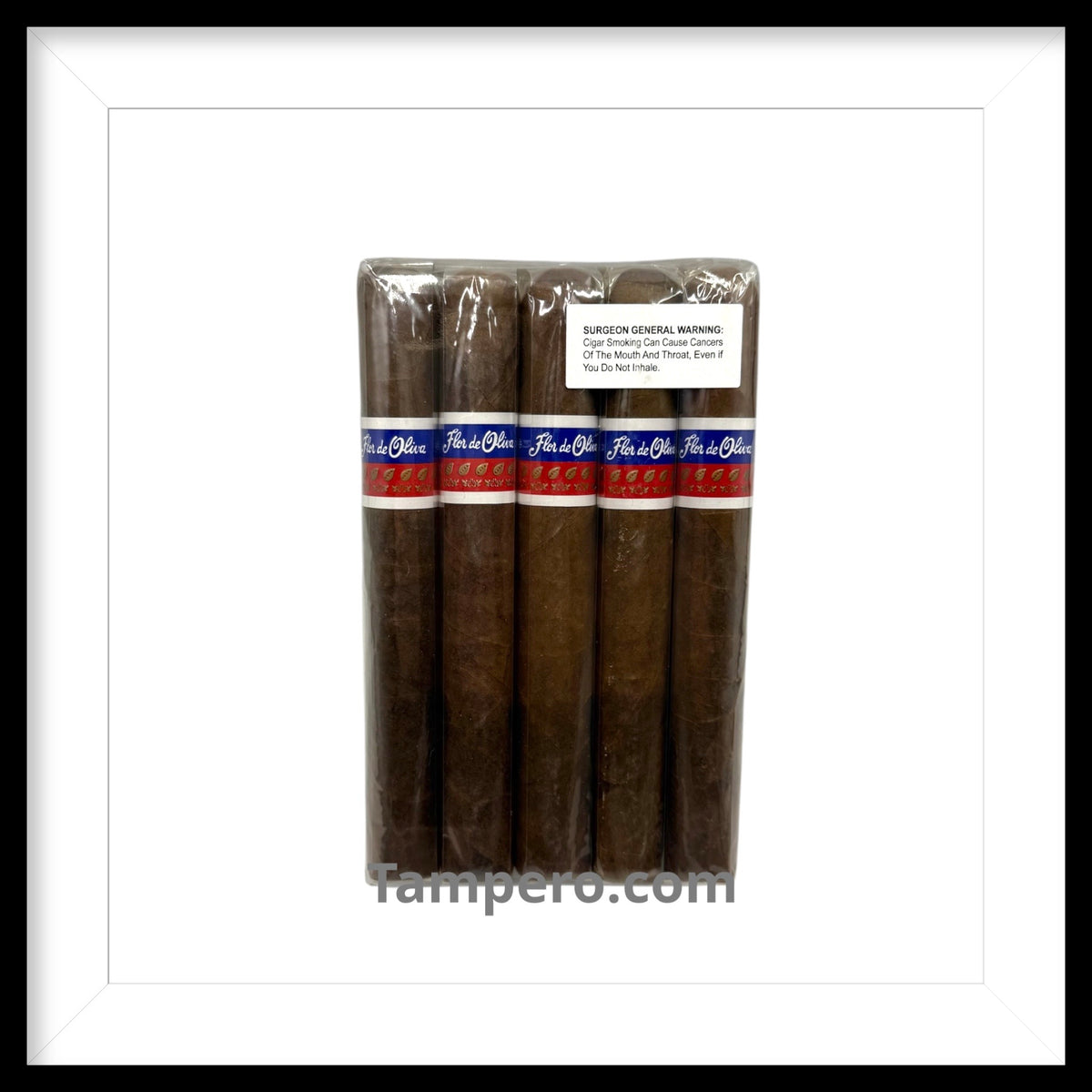 Oliva Flor de Oliva Toro