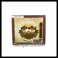 Load image into Gallery viewer, Isla del Sol Sun Grown Robusto
