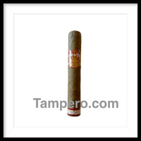 Load image into Gallery viewer, Isla del Sol Sun Grown Robusto
