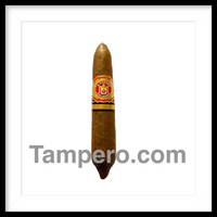 Load image into Gallery viewer, Arturo Fuente Hemingway Work of Art Natural
