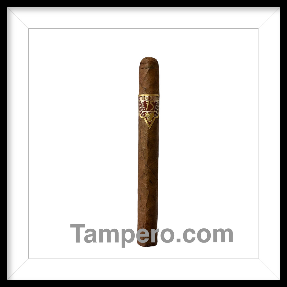 Manolo Quesada 75th Anniversary -Limited Edition-