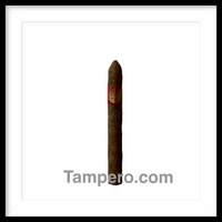 Load image into Gallery viewer, Isla del Sol Sun Grown Breve
