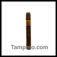 Load image into Gallery viewer, Acid Toast
