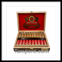 Load image into Gallery viewer, Angle Cuesta Double Robusto
