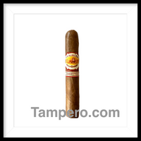 Load image into Gallery viewer, La Aurora Connecticut 1987 Robusto
