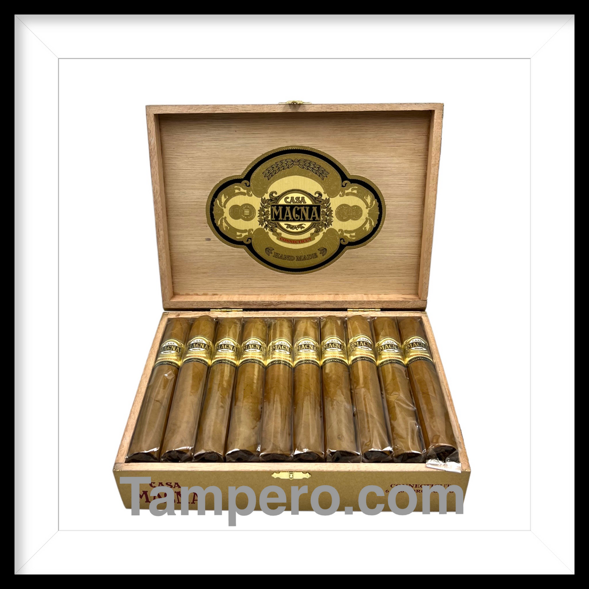 Casa Magna Connecticut Toro