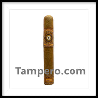 Load image into Gallery viewer, Perdomo Habano Connecticut Gordo
