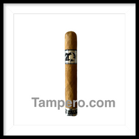 Load image into Gallery viewer, Acid 20 Connecticut Toro
