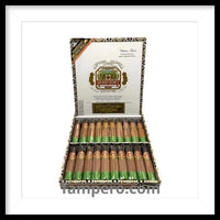 Load image into Gallery viewer, Arturo Fuente Chateau Fuente Maduro

