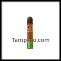 Load image into Gallery viewer, Arturo Fuente Chateau Fuente Maduro
