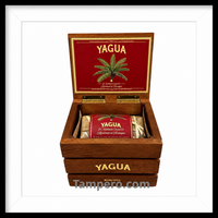 Load image into Gallery viewer, J.C. Newman Yagua Robusto 5x56 box of 20 handmade Nicaraguan cigars

