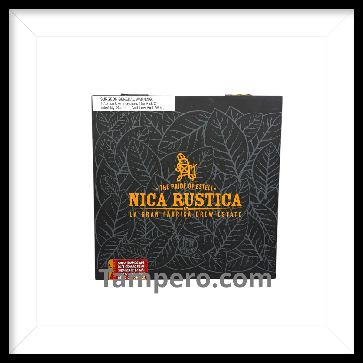 nica rustica gordo