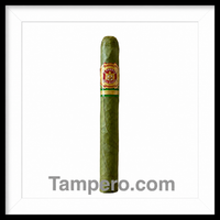 Load image into Gallery viewer, Arturo Fuente Flor Fina 8-5-8 Candela handmade Dominican cigar with a distinctive green Candela wrapper and classic Fuente band.
