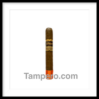 Load image into Gallery viewer, Rare Arturo Fuente Casa Fuente Robusto cigar with rich Cameroon wrapper at Tampero Cigars in Ybor City
