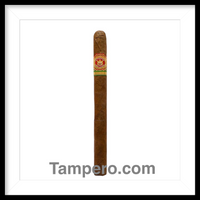 Load image into Gallery viewer, Arturo Fuente Cañones Natural
