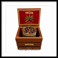 Load image into Gallery viewer, Close-up of J.C. Newman Yagua Robusto 5x56 showing rustic Connecticut Broadleaf wrapper and Yagua cigar band
