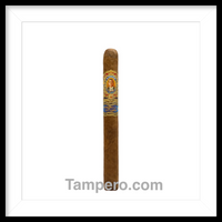 Load image into Gallery viewer, arturo fuente destino siglo de pasión 
