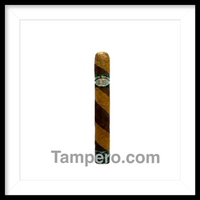Load image into Gallery viewer, Rocky Patel The Edge A-10th Anniversary Toro
