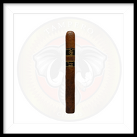 Load image into Gallery viewer, Rocky Patel Vintage 1992
