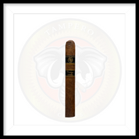 Load image into Gallery viewer, Rocky Patel Vintage 1992
