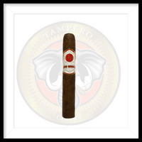 Load image into Gallery viewer, Rocky Patel Sun Grown Maduro
