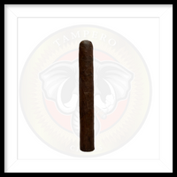 Load image into Gallery viewer, Tampero Nicaraguan Maduro Toro Long Filler Premium
