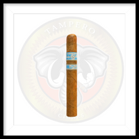 Load image into Gallery viewer, It&#39;s a Boy by Rocky Patel
