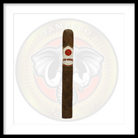 Load image into Gallery viewer, Rocky Patel Sun Grown Maduro
