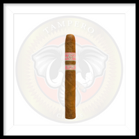 Load image into Gallery viewer, It&#39;s a Girl By Rocky Patel
