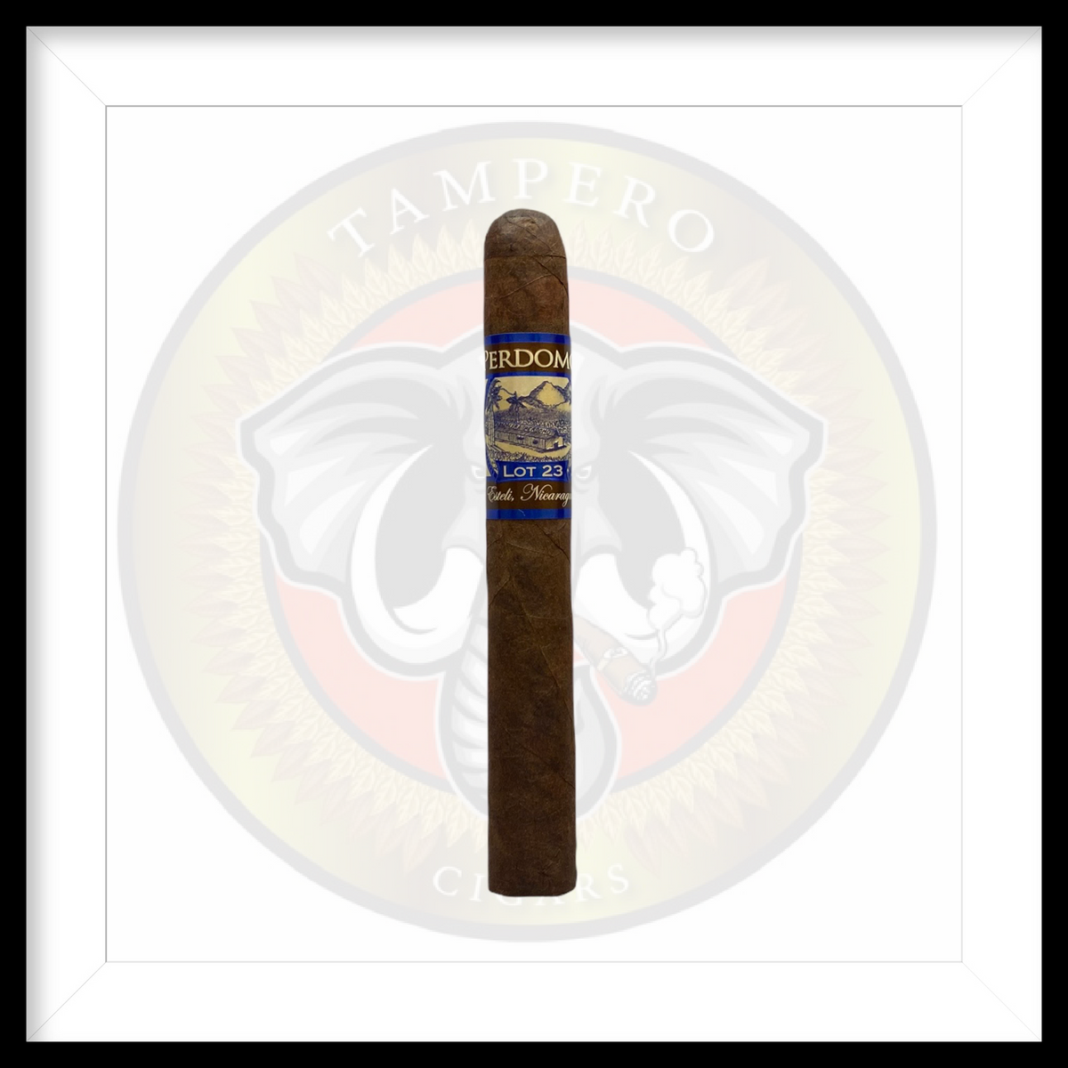 Perdomo Lot 23 Maduro