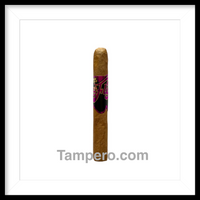 Load image into Gallery viewer, Oscar Valladares Super Fly Connecticut
