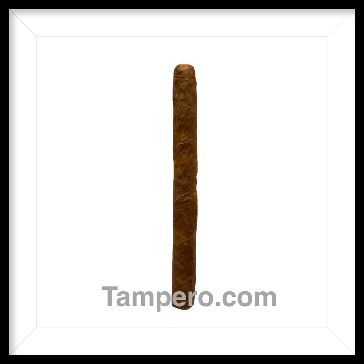 Tampero Habano Panetela