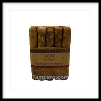 Load image into Gallery viewer, Leaf By Oscar Sumatra
