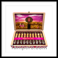 Load image into Gallery viewer, Arturo Fuente Rare Pink Vintage 1960's Series Happy Ending
