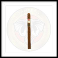 Load image into Gallery viewer, Herrera Esteli Habano Lancero Limited Edition 2022
