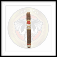 Load image into Gallery viewer, EP Carrillo New Wave Connecticut
